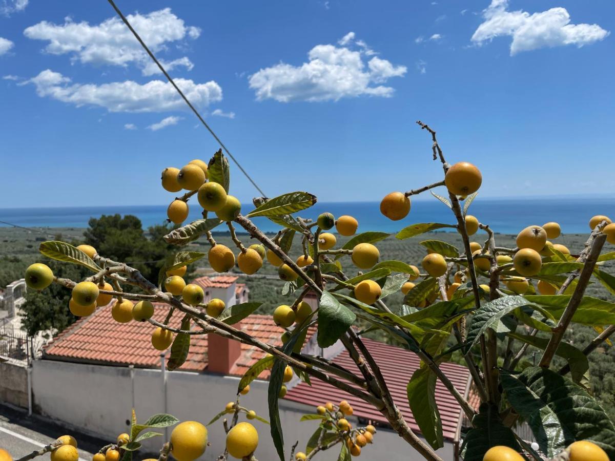 Villetta - Qui Dove Il Mare Luccica - Affitti Brevi Italia Monte SantʼAngelo Buitenkant foto