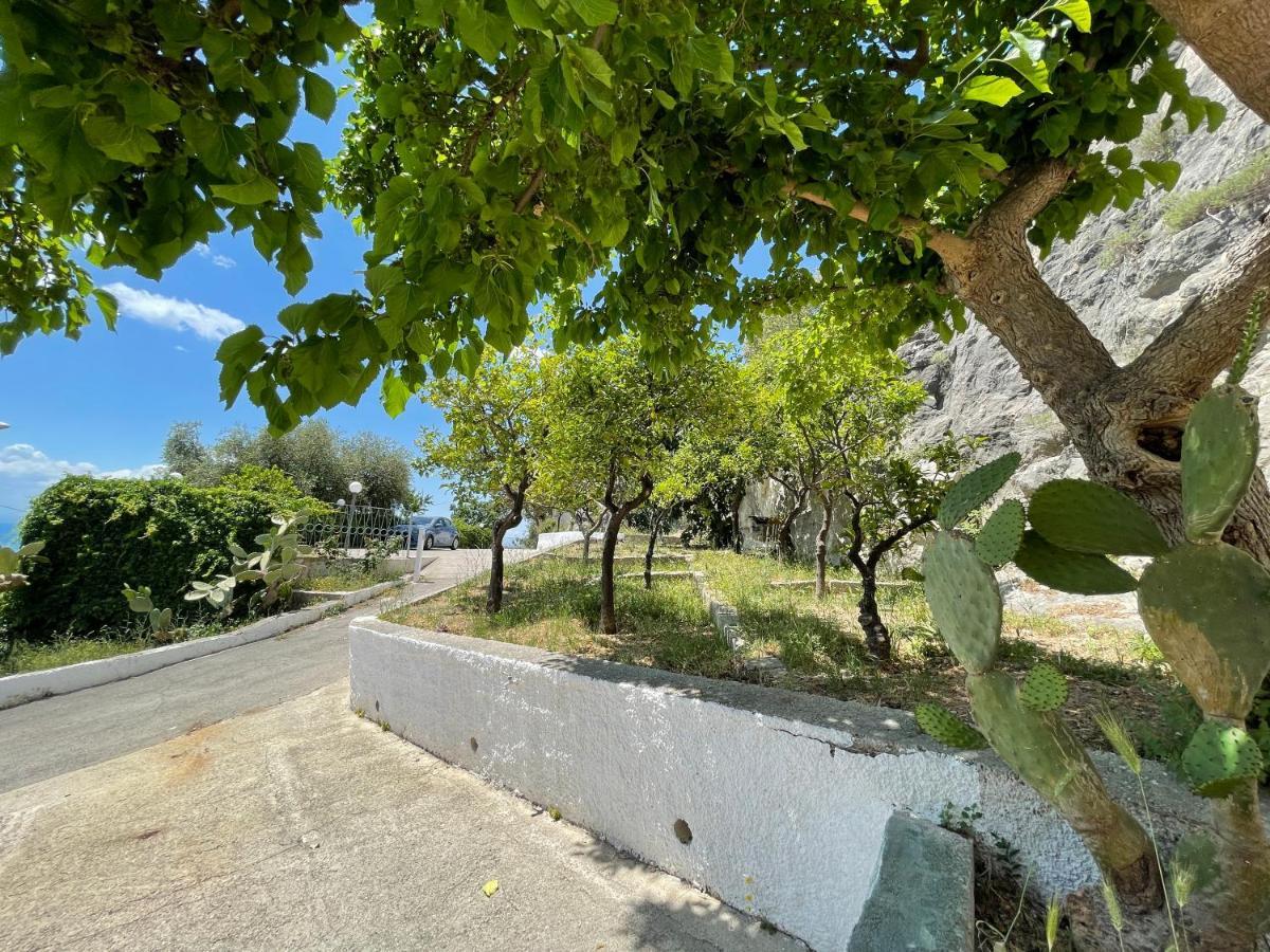 Villetta - Qui Dove Il Mare Luccica - Affitti Brevi Italia Monte SantʼAngelo Buitenkant foto