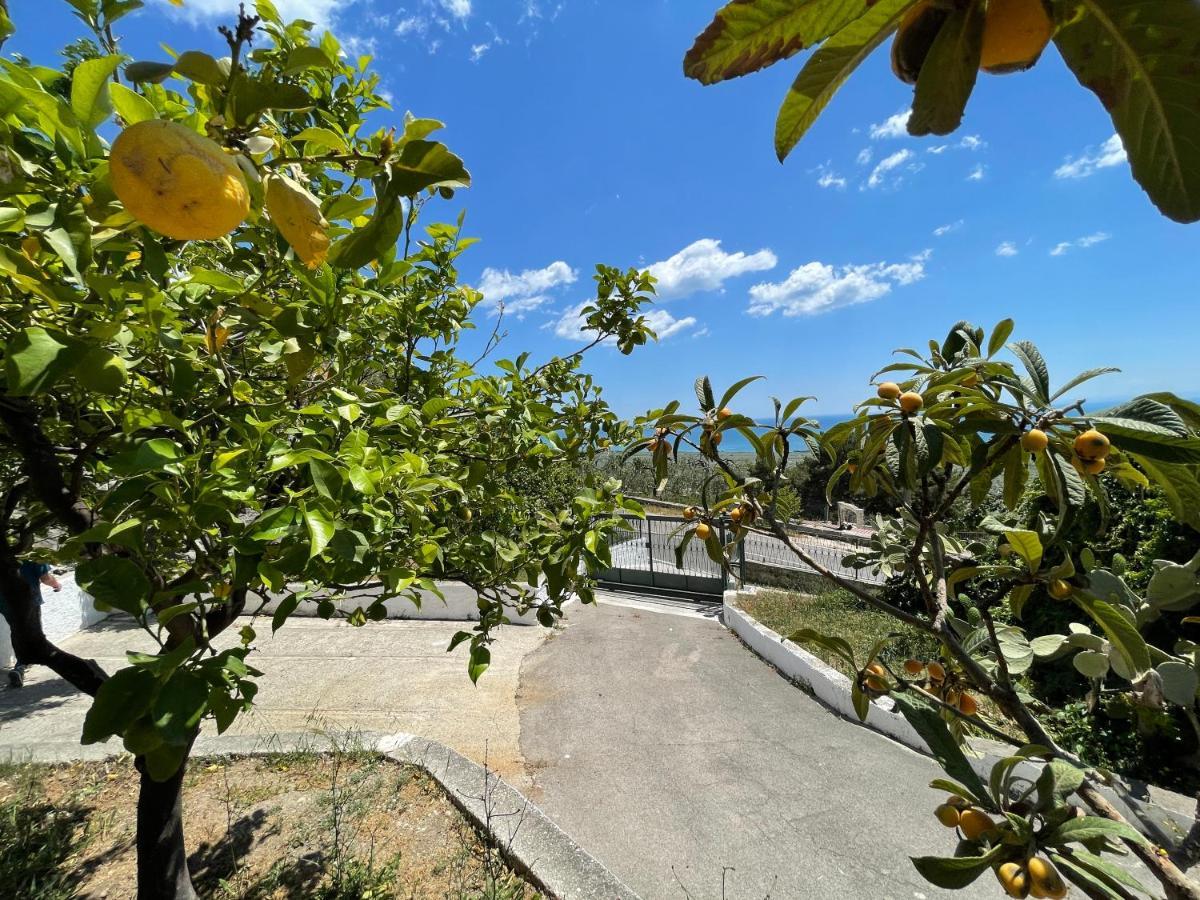 Villetta - Qui Dove Il Mare Luccica - Affitti Brevi Italia Monte SantʼAngelo Buitenkant foto